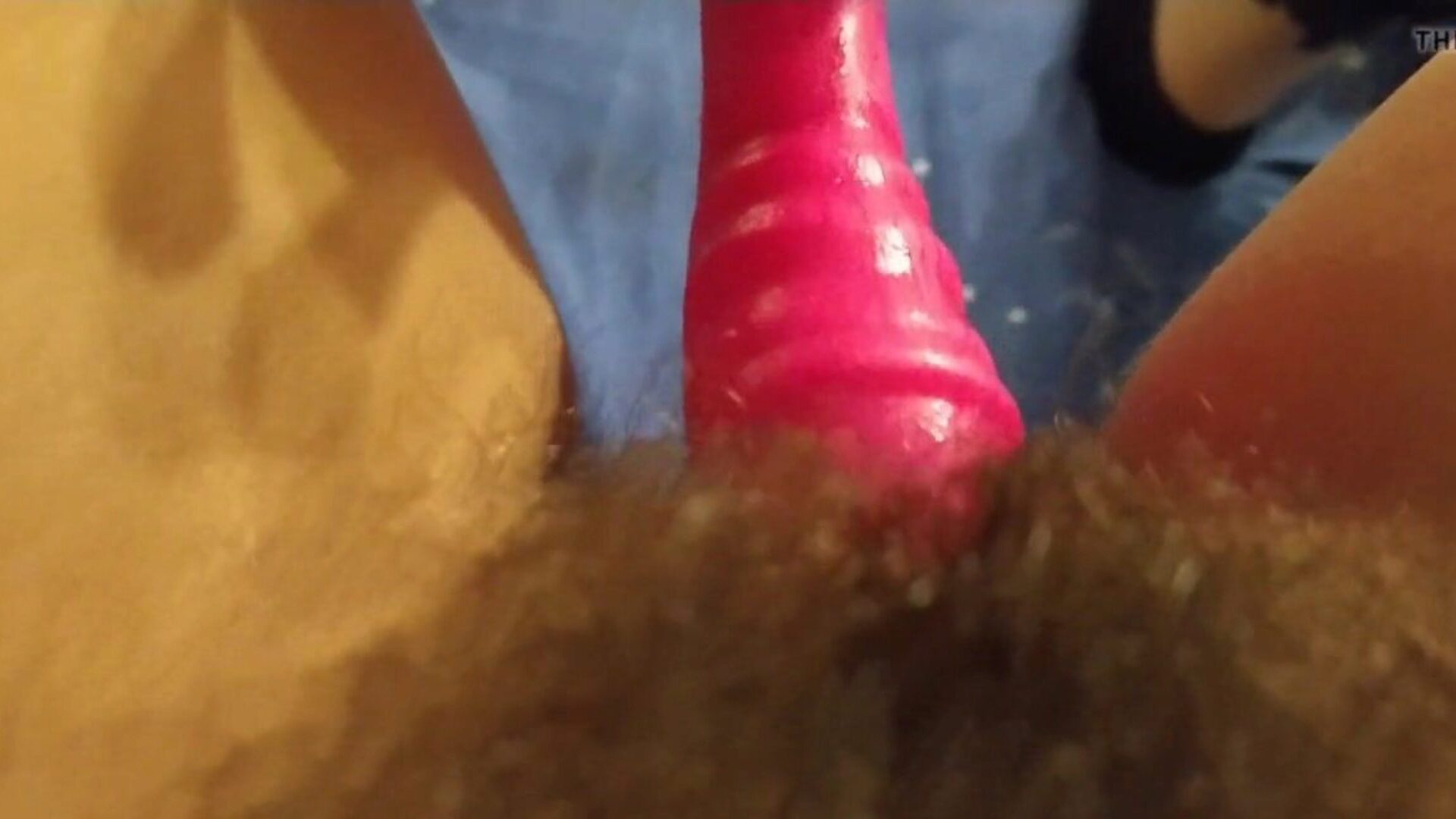 close-up de buceta peluda