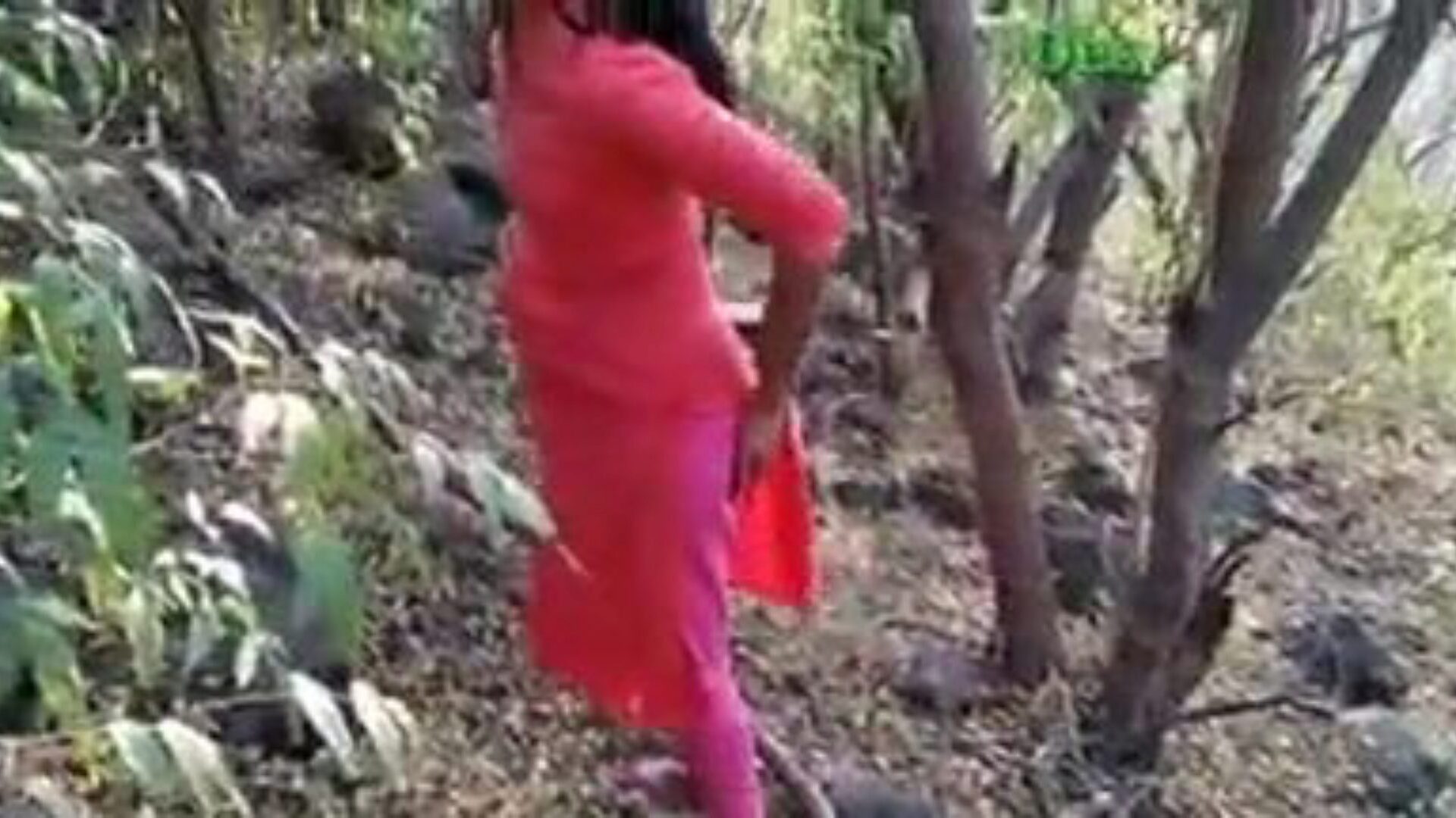 Desi Girlfriend Fuck in Jungle, Free Indian Porn Video f0 Watch Desi Girlfriend Fuck in Jungle clip on xHamster, the thickest fuckfest tube web page with tons of free-for-all Indian Hardcore & Squirting porn movie scenes
