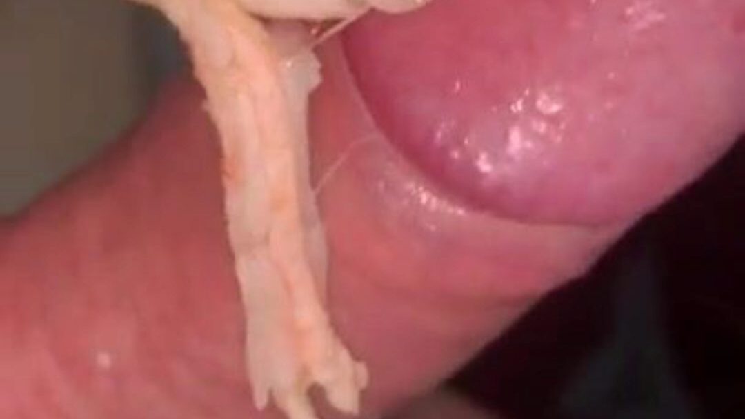 Amatoriale Ita Cum in Mouth Cum on Food Sborra Ingoio Watch Amatoriale Ita Cum in Mouth Cum on Food Sborra Ingoio movie scene on xHamster - the ultimate selection of free-for-all Italian Xxx in Youtube HD pornography tube vids
