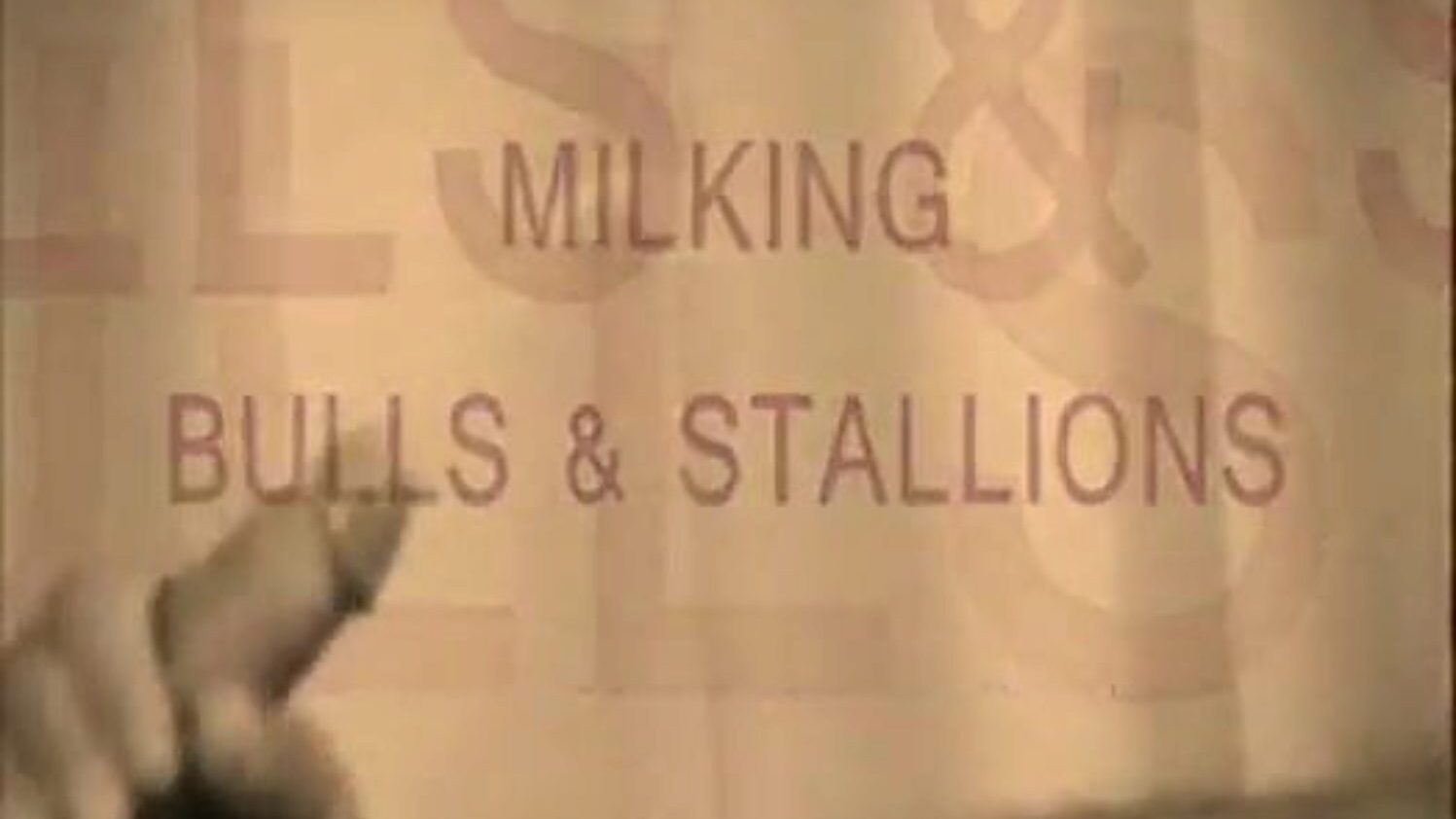 Milking Bulls and Studhorses