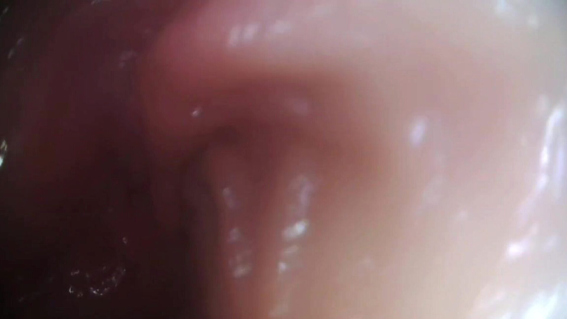стварна сперма камера према унутра - оригинални видео