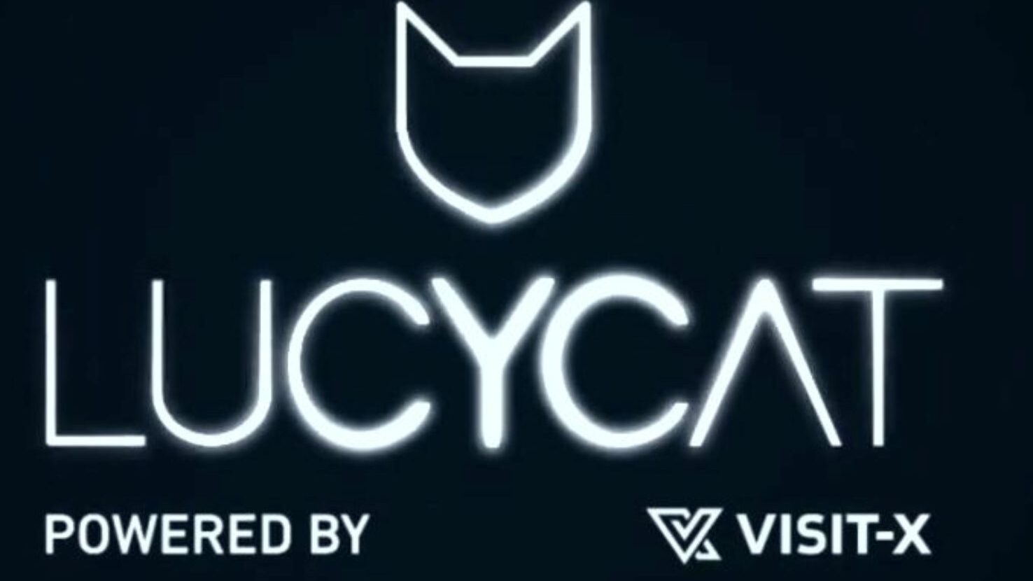 interaktywne, które wyzwanie - Lucy Cat